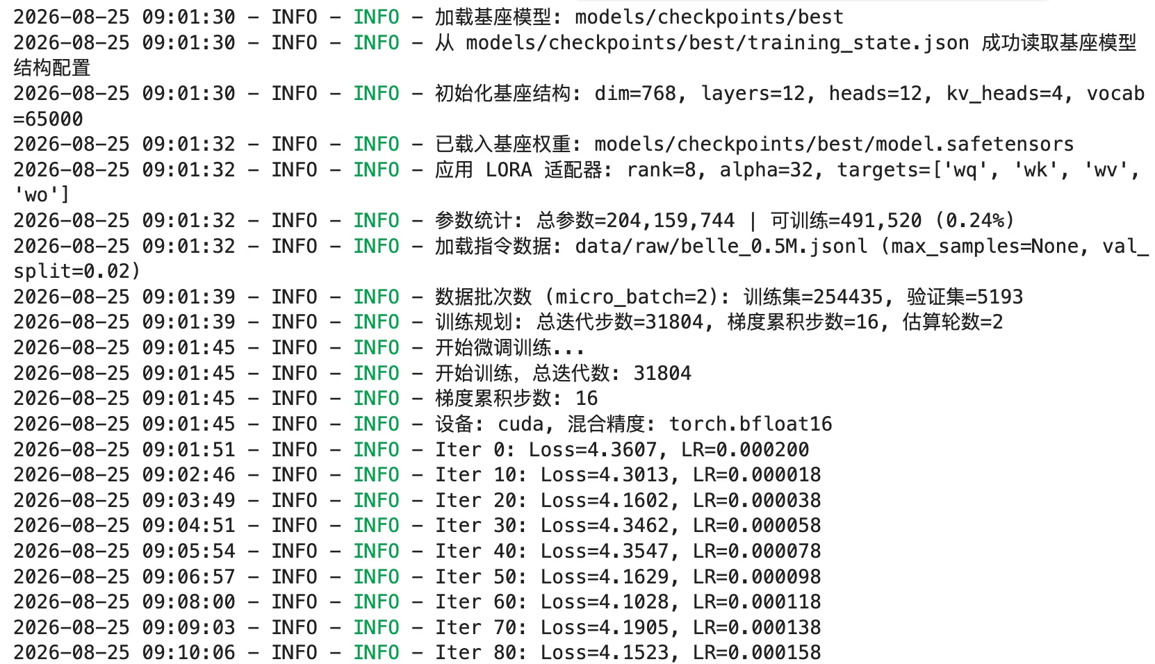 Kaggle GPU 微调实测运行日志